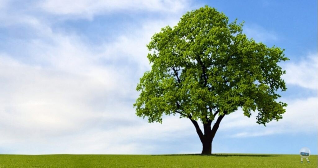 در تقویم محتوایی اسفند ماه چه می گذرد؟ 4 IMG ۲۰۲۱۰۲۲۱ ۲۰۱۲۴۳ در تقویم محتوایی اسفند ماه چه می گذرد؟
